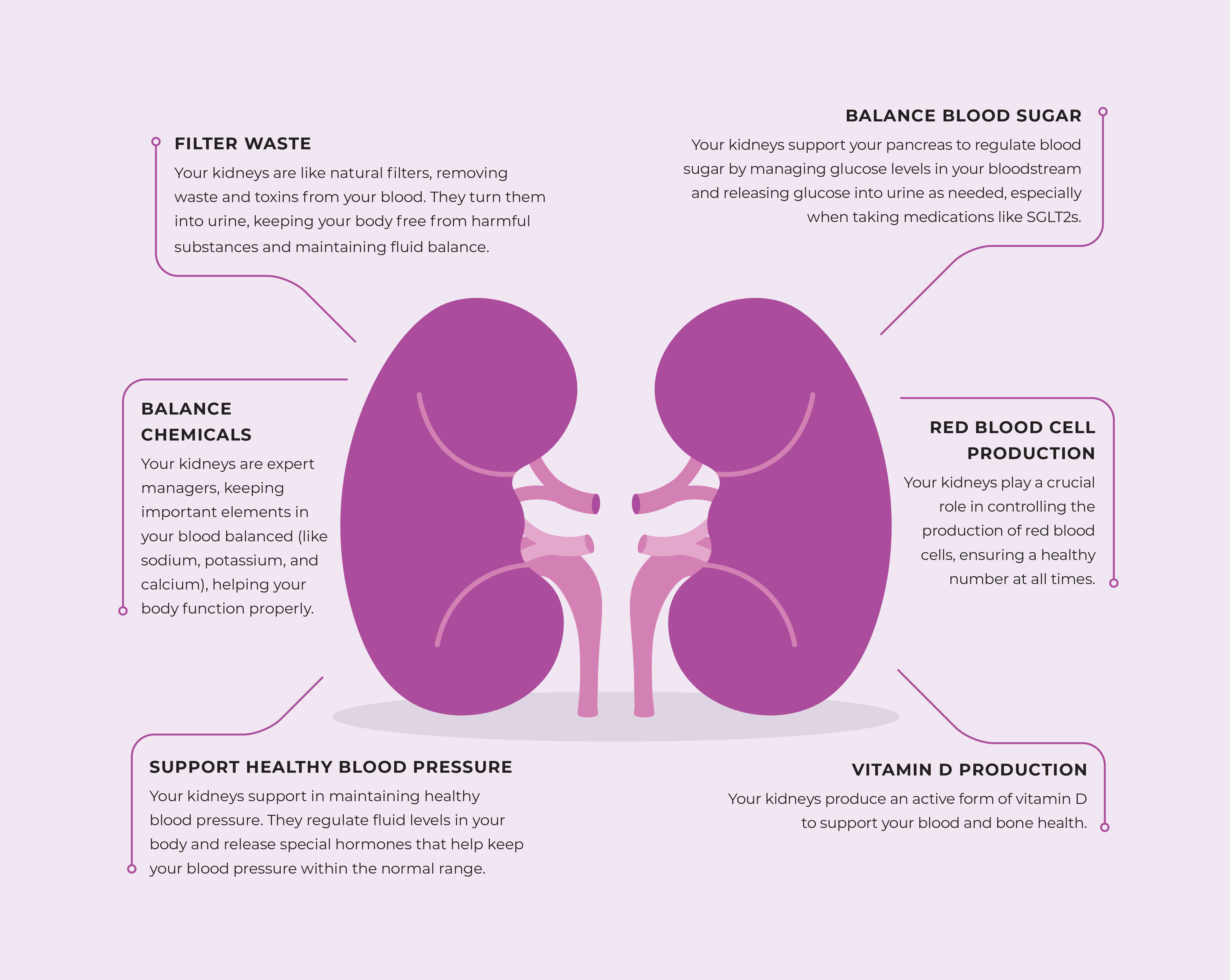 Kidney-Function-Infographic